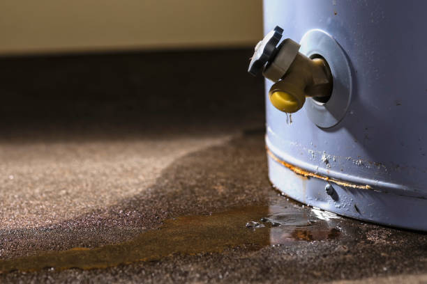 Best Water damage repair service  in Odem, TX
