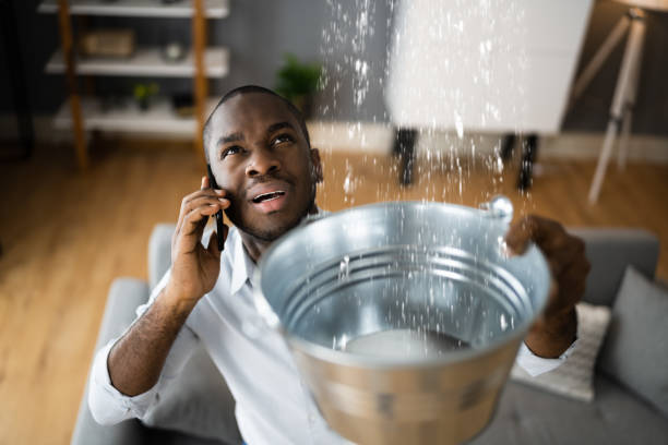 Best Ceiling water damage repair  in Odem, TX