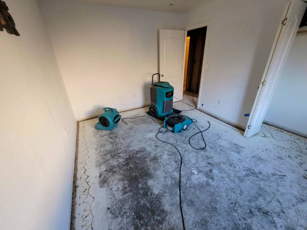 Best Water damage cleanup near me  in Odem, TX