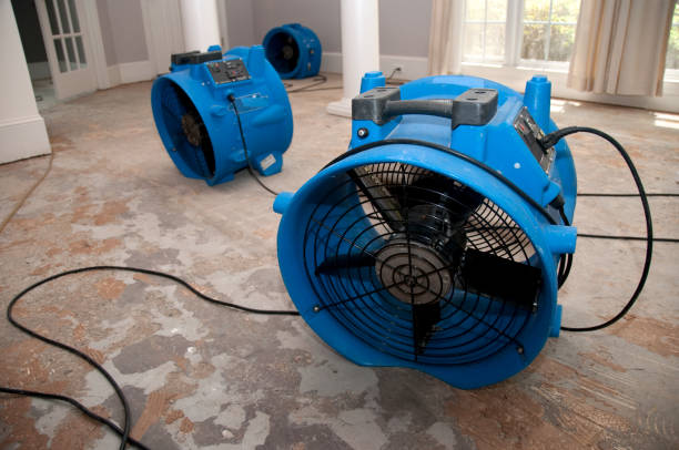 Best 24-hour water damage restoration  in Odem, TX