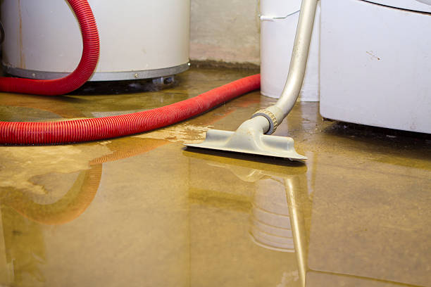 Best 24/7 water damage repair  in Odem, TX