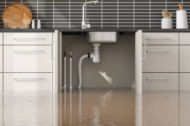 Best Emergency water damage restoration  in Odem, TX