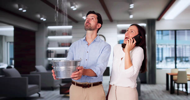 Best Mold removal after water damage  in Odem, TX