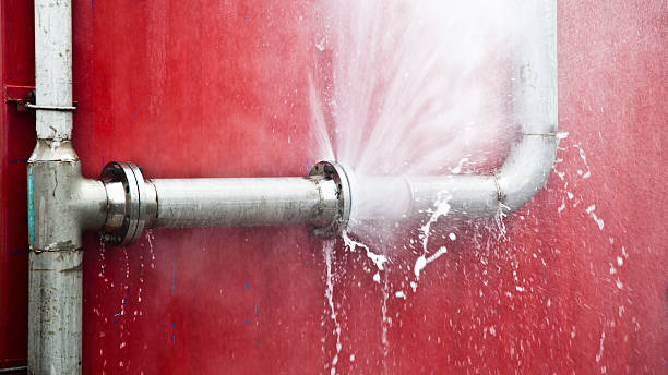Best Fire Damage Restoration  in Odem, TX