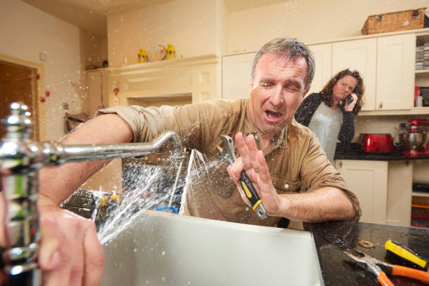 Best Flood damage cleanup  in Odem, TX